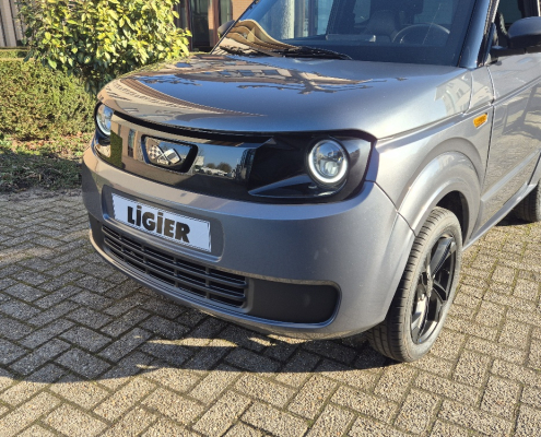 Ligier Myli E.pic Graphit (2)